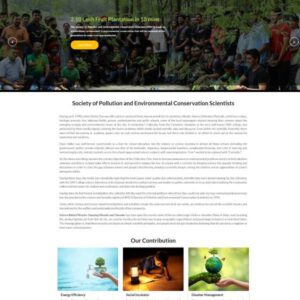 nexgen agency - portfolio 2